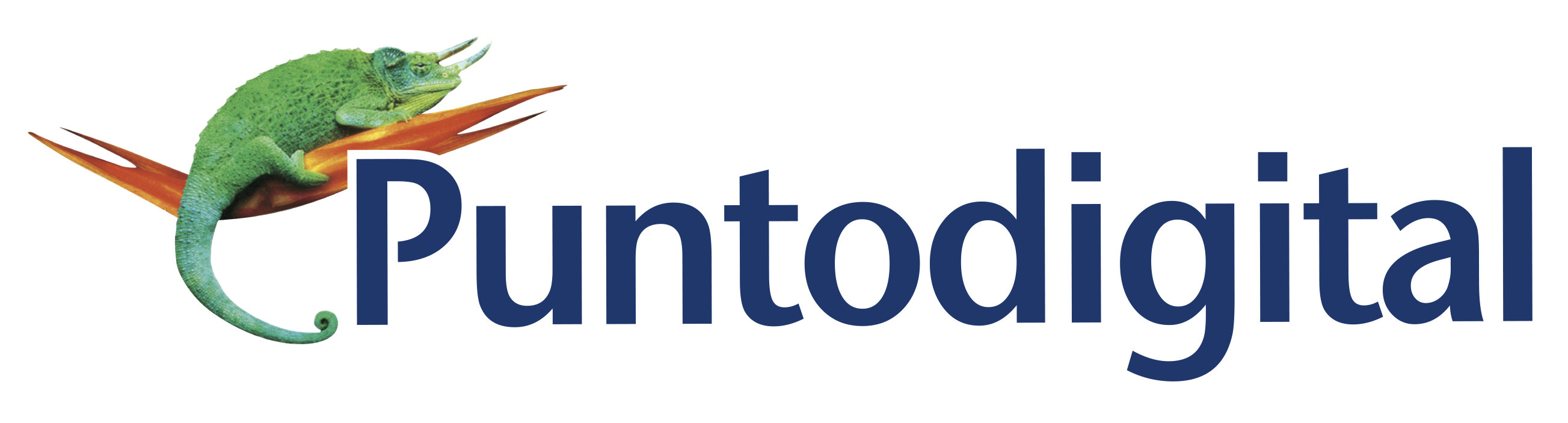 Punto Digital